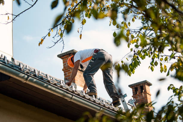 Best Emergency Roof Repair  in Belmont, WI