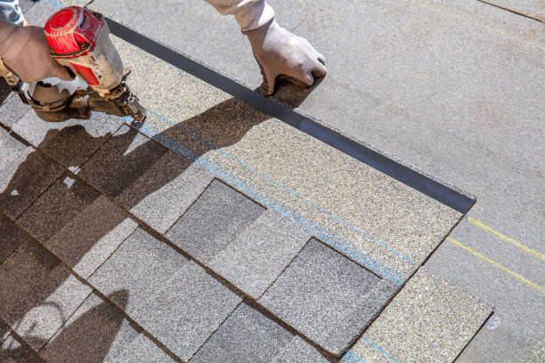 Best Metal Roofing Contractor  in Belmont, WI